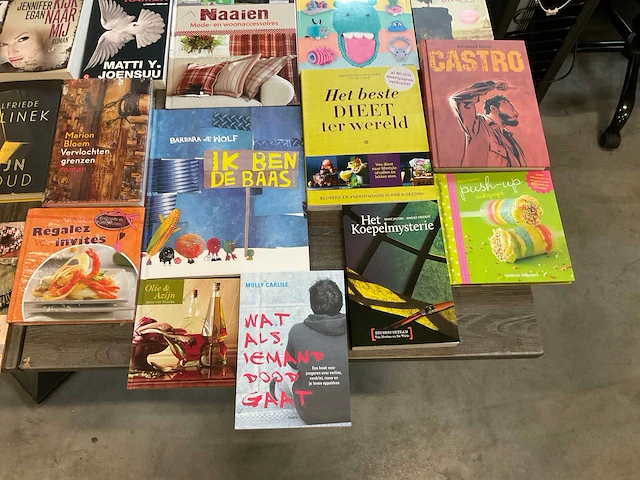 Partij diverse boeken (1445x) - afbeelding 2 van  11