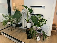 Partij diverse decoratiematerialen - afbeelding 1 van  9