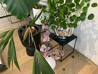 Partij diverse decoratiematerialen - afbeelding 2 van  9