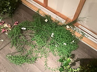 Partij diverse kunstbloemen (40x) - afbeelding 3 van  5