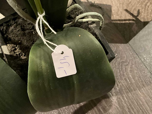 Partij diverse luxe woonaccessoires - afbeelding 15 van  29