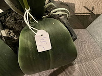 Partij diverse luxe woonaccessoires - afbeelding 15 van  29