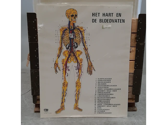 Partij diverse zorg artikelen - afbeelding 4 van  11