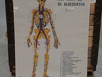 Partij diverse zorg artikelen - afbeelding 4 van  11