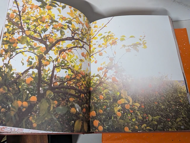 Partij diversen - afbeelding 41 van  63