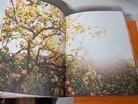 Partij diversen - afbeelding 41 van  63