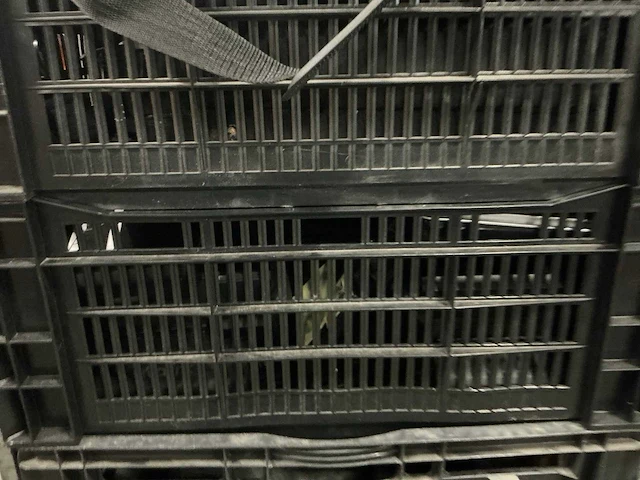 Partij it toebehoren - afbeelding 4 van  7