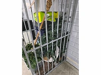 Partij kerst decoratiemateriaal - afbeelding 5 van  5