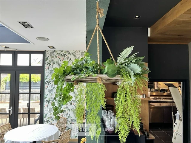 Partij kunst hangplanten - afbeelding 1 van  1