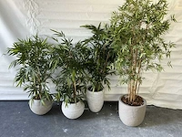 Partij kunst planten met pot - afbeelding 1 van  2