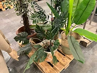 Partij kunstflora - afbeelding 4 van  5