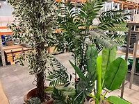 Partij kunstflora - afbeelding 5 van  5