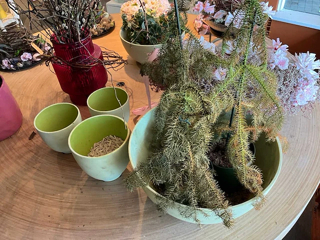 Partij kunstkamerplanten en kunstbloemen - afbeelding 7 van  7