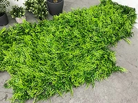 Partij kunstplanten - afbeelding 2 van  7