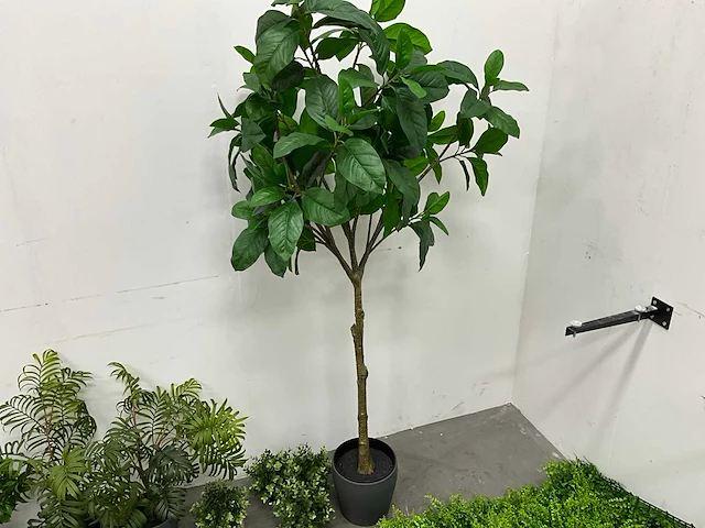 Partij kunstplanten - afbeelding 4 van  7