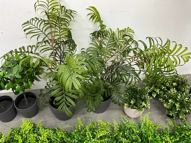 Partij kunstplanten - afbeelding 5 van  7