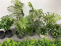 Partij kunstplanten - afbeelding 5 van  7