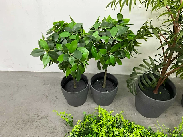 Partij kunstplanten - afbeelding 6 van  7