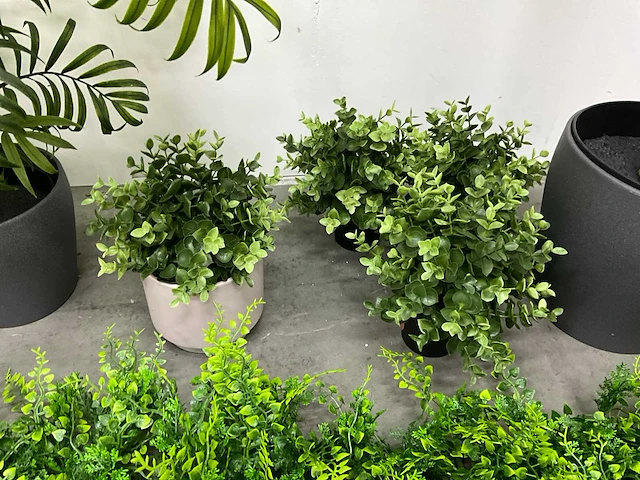 Partij kunstplanten - afbeelding 7 van  7