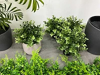Partij kunstplanten - afbeelding 7 van  7