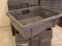 Partij kunststof plantenkratten en emmers - afbeelding 5 van  8