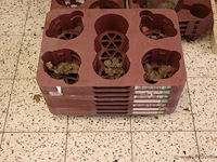 Partij kunststof plantenkratten en emmers - afbeelding 6 van  8