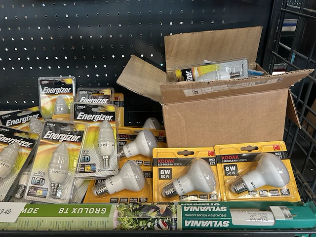 Partij lampen kodak, energizer, wpro, nedis - afbeelding 2 van  7