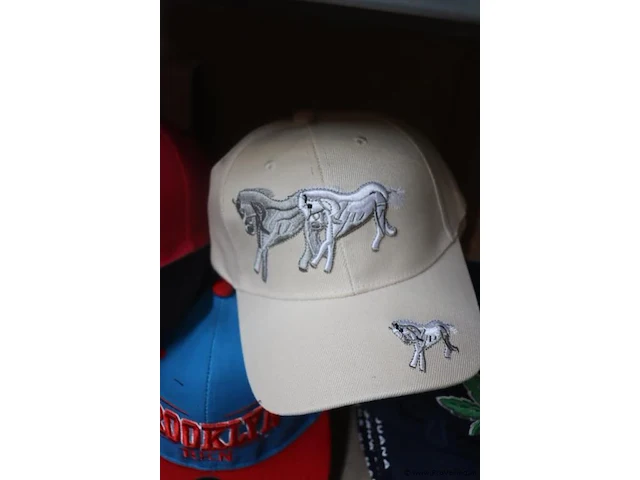 Partij original snapback petten - diverse kleuren - 55 stuks - afbeelding 5 van  9