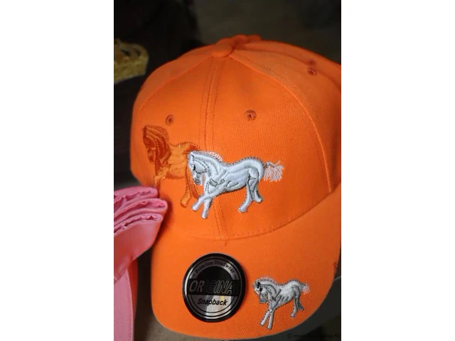 Partij original snapback petten - diverse kleuren - 58 stuks - afbeelding 3 van  8