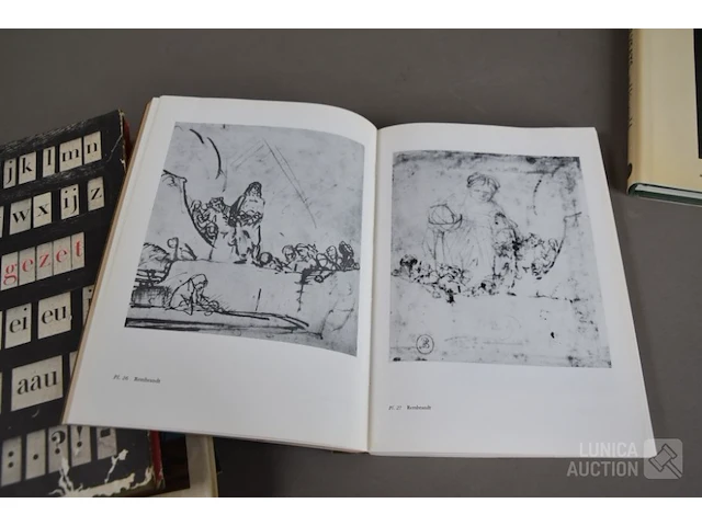 Partij oude boeken - afbeelding 13 van  20
