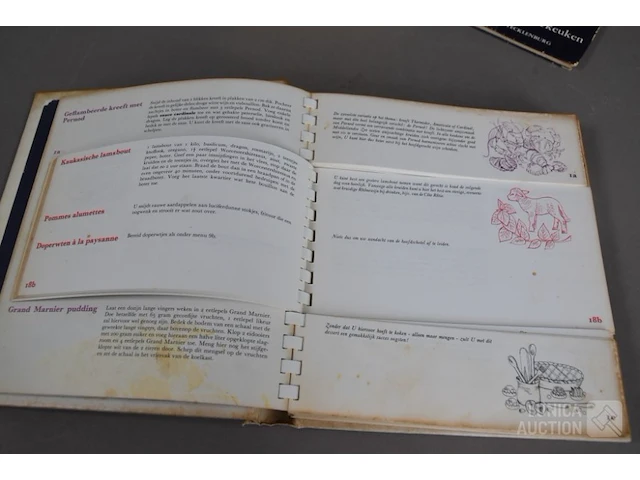 Partij oude boeken - afbeelding 10 van  15