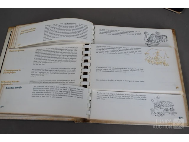 Partij oude boeken - afbeelding 11 van  15