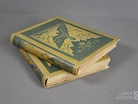 Partij oude boeken - afbeelding 1 van  10