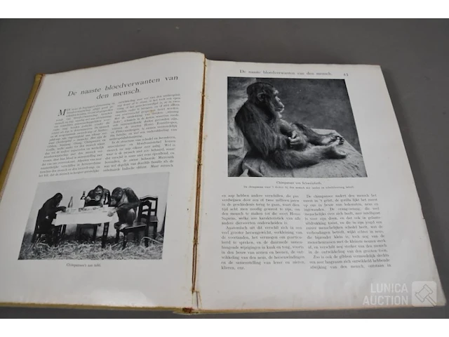 Partij oude boeken - afbeelding 5 van  10