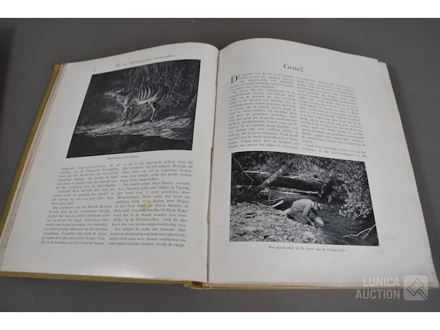 Partij oude boeken - afbeelding 6 van  10
