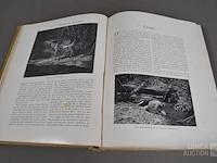 Partij oude boeken - afbeelding 6 van  10