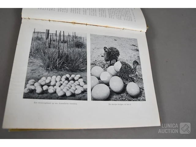 Partij oude boeken - afbeelding 7 van  10