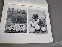 Partij oude boeken - afbeelding 7 van  10