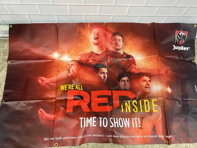 Partij promotie materiaal red devils - afbeelding 7 van  13