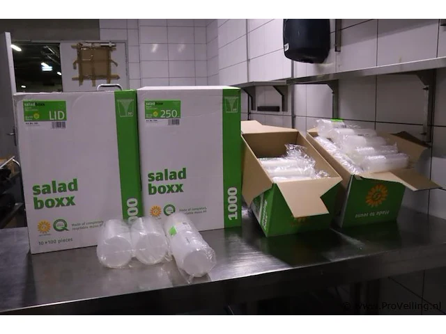 Partij salade boxen, plastic - afbeelding 1 van  6
