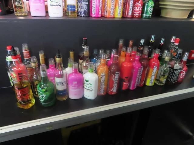 Partij sterke drank, circa 40 flessen - afbeelding 1 van  3