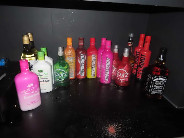 Partij sterke drank, circa 95 flessen - afbeelding 4 van  4