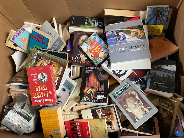 Partij (vintage) boeken - afbeelding 1 van  2