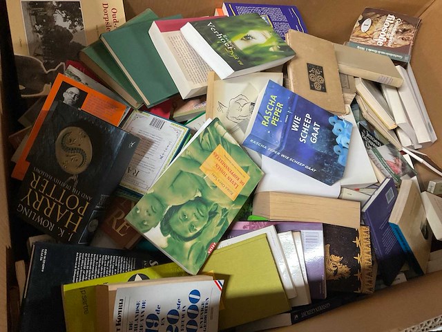 Partij (vintage) boeken - afbeelding 1 van  2