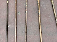 Partij wandelstokken en paraplu's - afbeelding 4 van  5