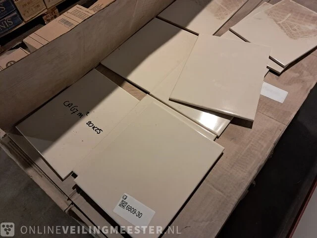 Partij wandtegels rako/lassolsberger, waag6007, light beige - afbeelding 2 van  6