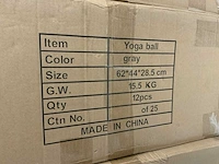 Partij yoga/gym balls (168x) - afbeelding 4 van  7