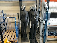 Paspoppen (5x) - afbeelding 1 van  3