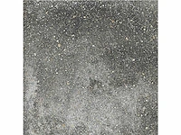 Pavé 3.0 cottage anthracite tegels (60.75m2) - afbeelding 1 van  6
