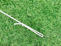 Paviljoen vivara 300 x 300 - afbeelding 5 van  14